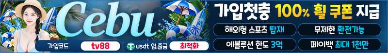 세부 cebu  (티비룸광고주 서비스배너)